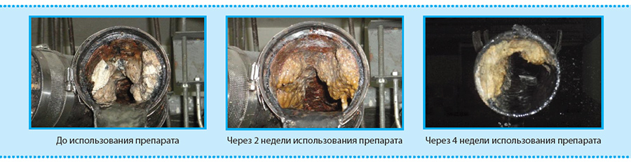 Принцип работы биопрепарата Bionex Grease WT-Tab